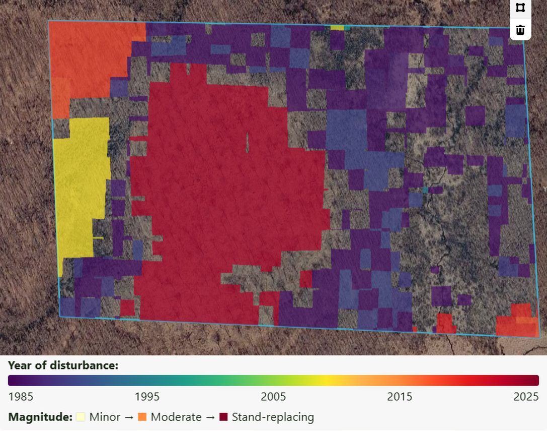 Map of a property coloured by the year each patch was last disturbed, from purple in 1985 to red in 2025