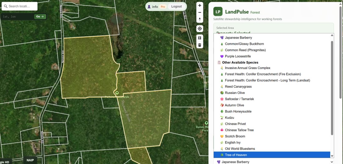 Invasive species detection map